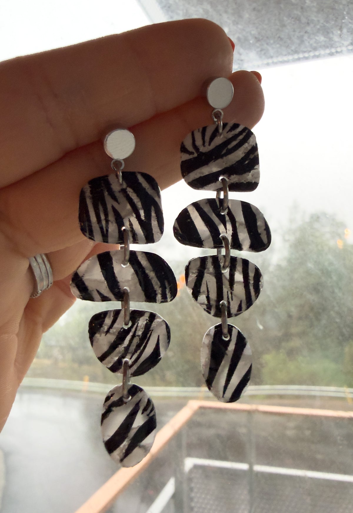 Stella Zebra