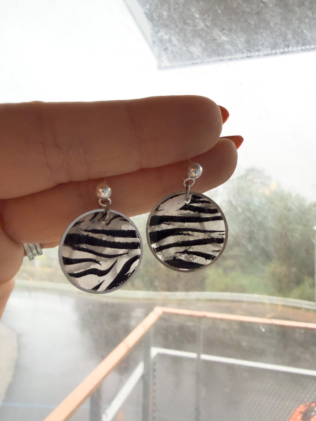 Cecilia Zebra