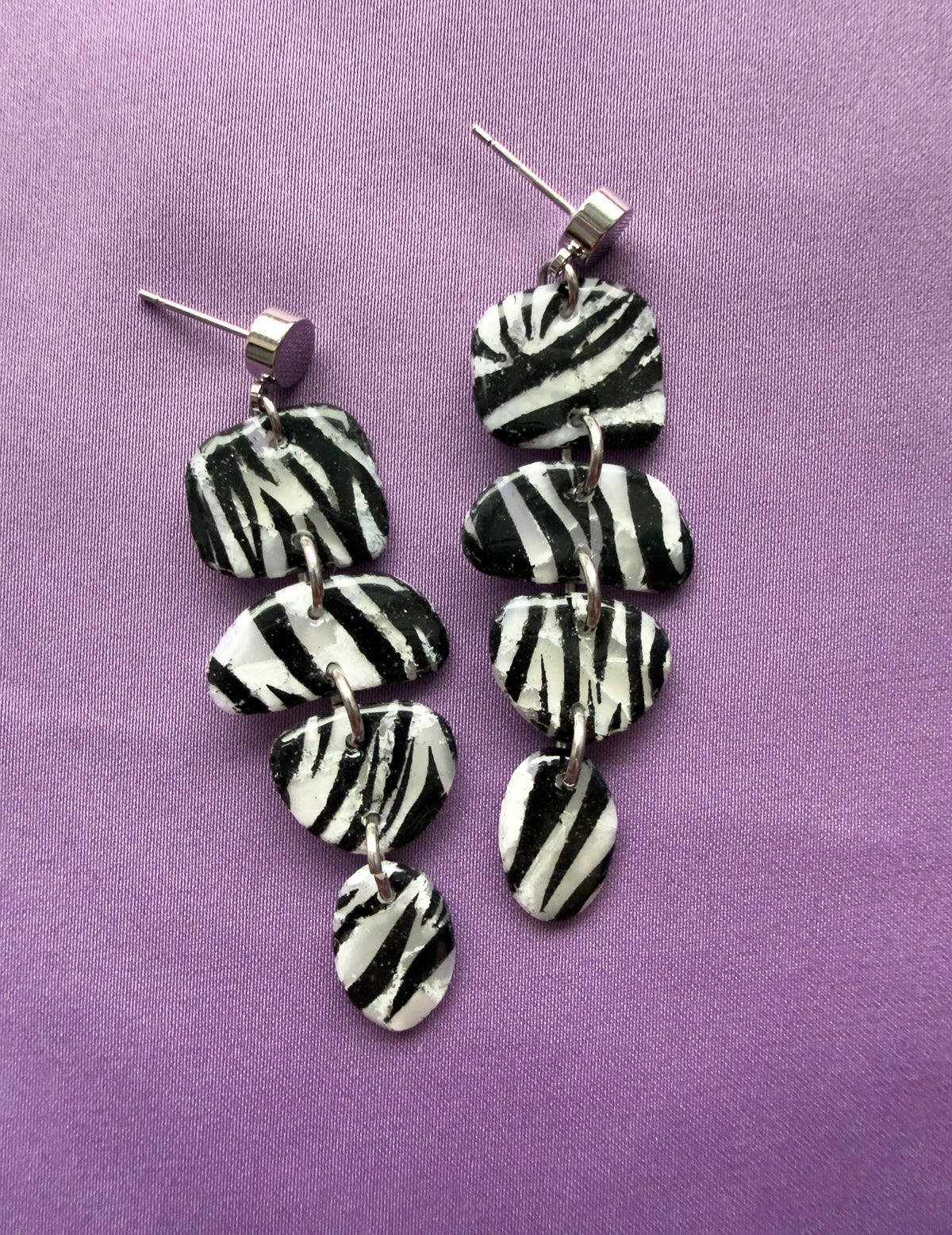 Stella Zebra